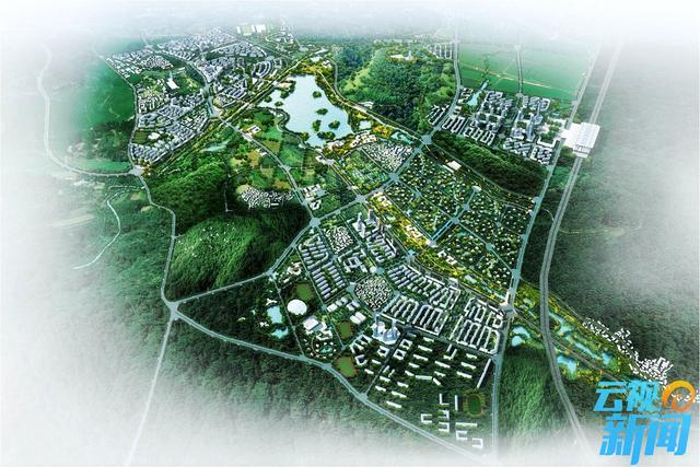 ��ɭ���ص�������ۺ�����������Ŀ�����׼��(����)